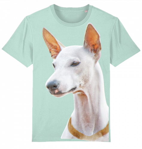 Unisex T-Shirt Stanley Stella - Podenco Motiv  XL-3XL