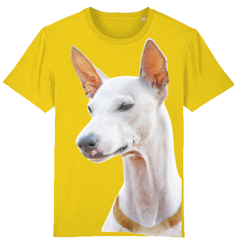 Unisex T-Shirt Stanley Stella - Podenco Motiv  XL-3XL