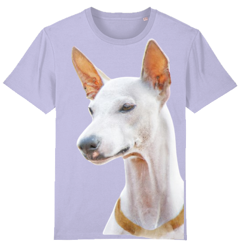 Unisex Stanley Stella T-Shirt mit Podenco Motiv XS-L