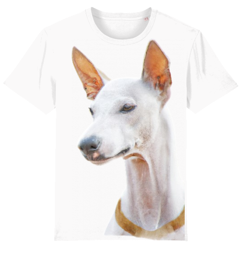 Unisex T-Shirt Stanley Stella - Podenco Motiv  XL-3XL