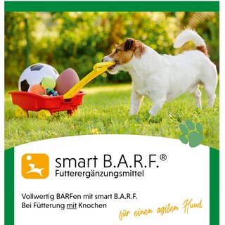 Smart B.A.R.F